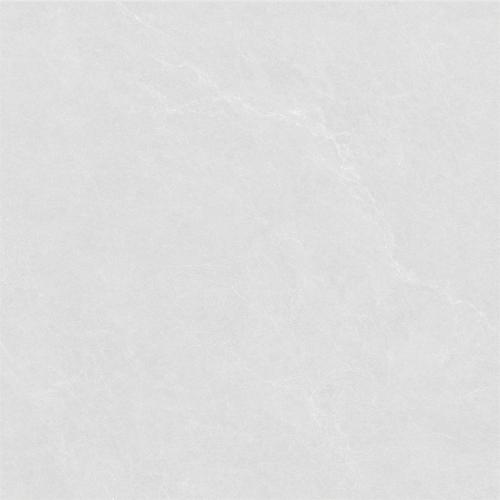 GMP88690-維羅娜-02